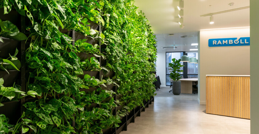Office Living Wall